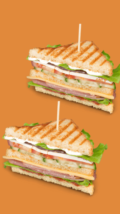 Vegetable Sandwich | Kathmandu Steak House