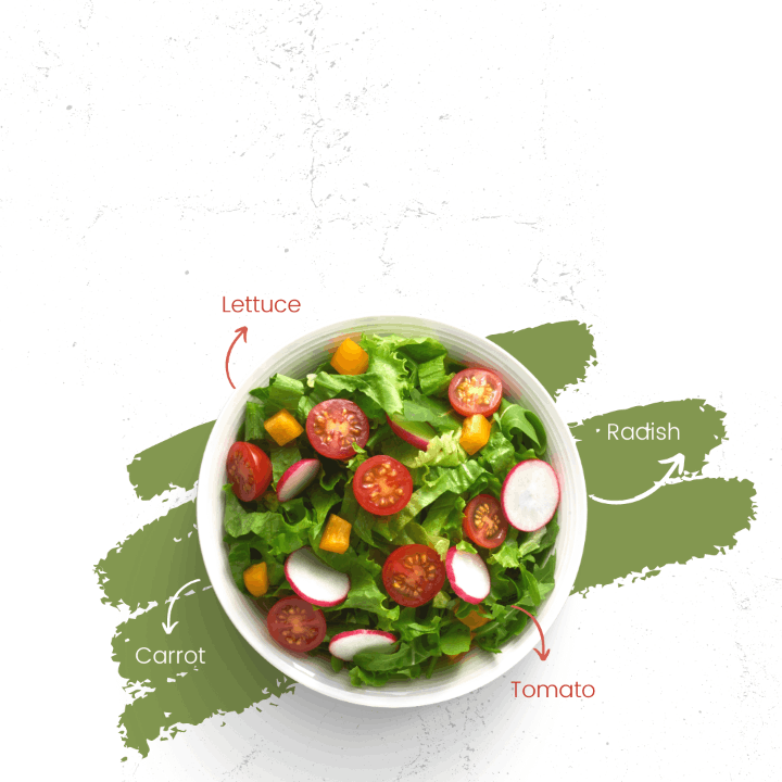 Organic Green Salad | Kathmandu Steak House